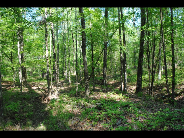 Image of 1031 Snug Harbor Court, Lot 023